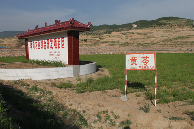 中药材保护国家出招:基地化走起!_中药材 基