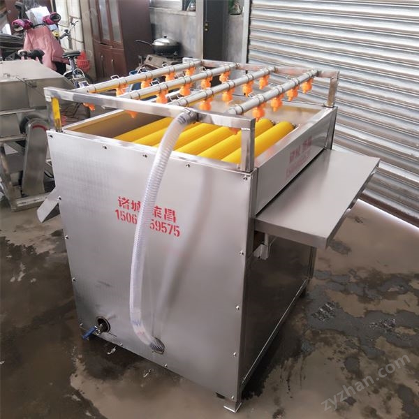 批發出售蘆葦葉清洗機 毛輥摩擦荷葉清洗設備 不銹鋼粽葉清洗機圖片